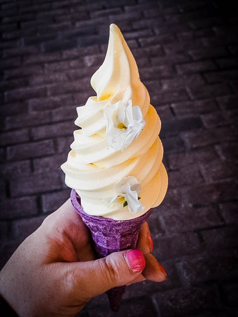 Magic Kingdom Ice Cream Crawl {Disney Snack Challenge}